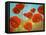 Field of Poppies II-Vivien Rhyan-Framed Stretched Canvas
