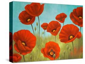 Field of Poppies II-Vivien Rhyan-Stretched Canvas