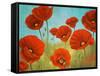 Field of Poppies II-Vivien Rhyan-Framed Stretched Canvas