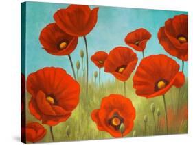 Field of Poppies II-Vivien Rhyan-Stretched Canvas