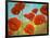 Field of Poppies II-Vivien Rhyan-Framed Art Print