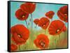 Field of Poppies II-Vivien Rhyan-Framed Stretched Canvas