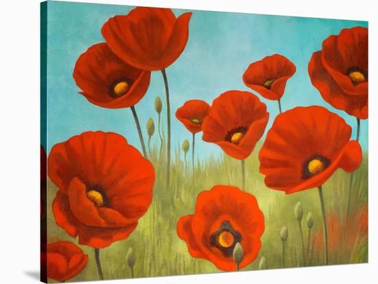 Field of Poppies II-Vivien Rhyan-Stretched Canvas