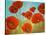 Field of Poppies II-Vivien Rhyan-Stretched Canvas