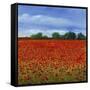 Field of Poppies II-Tim OToole-Framed Stretched Canvas