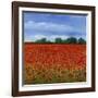 Field of Poppies II-Tim OToole-Framed Art Print