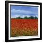 Field of Poppies II-Tim OToole-Framed Art Print