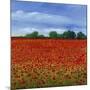 Field of Poppies II-Tim OToole-Mounted Art Print