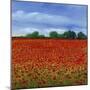 Field of Poppies II-Tim OToole-Mounted Art Print