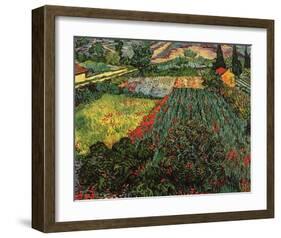 Field of Poppies, Saint-Remy, c.1889-Vincent van Gogh-Framed Art Print