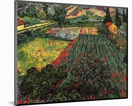 Field of Poppies, Saint-Remy, c. 1889-Vincent van Gogh-Mounted Art Print