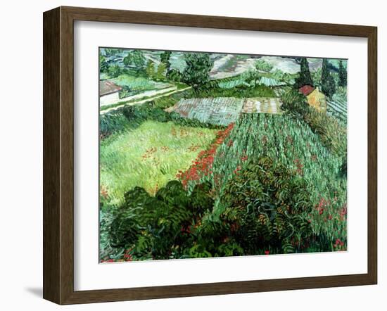 Field of Poppies, Saint-Remy, c.1889-Vincent van Gogh-Framed Giclee Print