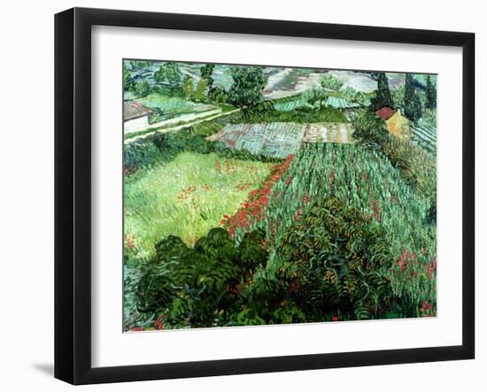 Field of Poppies, Saint-Remy, c.1889-Vincent van Gogh-Framed Giclee Print