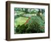 Field of Poppies, Saint-Remy, c.1889-Vincent van Gogh-Framed Premium Giclee Print