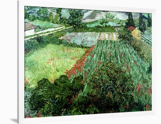 Field of Poppies, Saint-Remy, c.1889-Vincent van Gogh-Framed Giclee Print