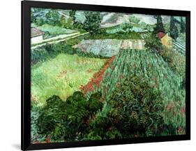 Field of Poppies, Saint-Remy, c.1889-Vincent van Gogh-Framed Giclee Print