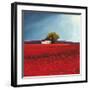 Field of poppies-Philip Bloom-Framed Art Print