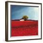 Field of poppies-Philip Bloom-Framed Art Print