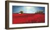 Field of poppies-Philip Bloom-Framed Art Print