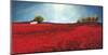 Field of poppies-Philip Bloom-Mounted Art Print