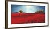 Field of poppies-Philip Bloom-Framed Art Print