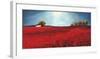 Field of poppies-Philip Bloom-Framed Art Print