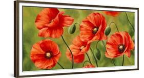 Field of Poppies-Luca Villa-Framed Art Print