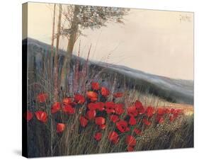 Field of Poppies-Gilbert Michaud-Stretched Canvas