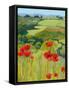 Field of Poppies-Jane Henry Parsons-Framed Stretched Canvas