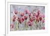 Field of Poppies-li bo-Framed Giclee Print