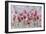 Field of Poppies-li bo-Framed Giclee Print