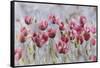 Field of Poppies-li bo-Framed Stretched Canvas