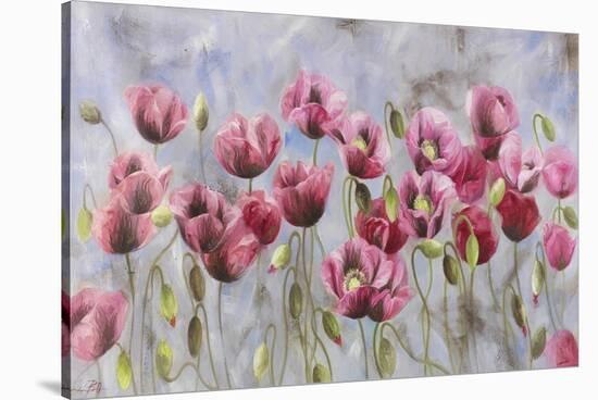 Field of Poppies-li bo-Stretched Canvas