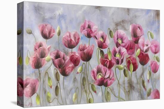 Field of Poppies-li bo-Stretched Canvas