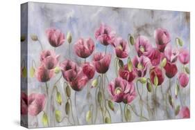 Field of Poppies-li bo-Stretched Canvas