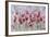 Field of Poppies-li bo-Framed Giclee Print