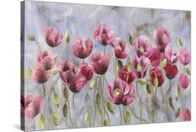 Field of Poppies-li bo-Stretched Canvas