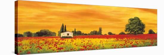 Field of Poppies-Richard Leblanc-Stretched Canvas