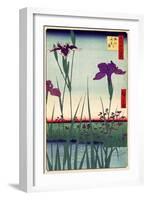 Field of Purple Irises Vintage Japanese Woodblock Print-null-Framed Art Print