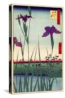 Field of Purple Irises Vintage Japanese Woodblock Print-null-Stretched Canvas