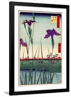 Field of Purple Irises Vintage Japanese Woodblock Print-null-Framed Art Print