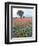 Field of Red and Blue Flowers-Jim Zuckerman-Framed Photographic Print