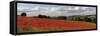 Field of Red Poppies, Near Winchcombe, Cotswolds, Gloucestershire, England, United Kingdom, Europe-Stuart Black-Framed Stretched Canvas