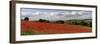 Field of Red Poppies, Near Winchcombe, Cotswolds, Gloucestershire, England, United Kingdom, Europe-Stuart Black-Framed Photographic Print