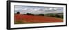 Field of Red Poppies, Near Winchcombe, Cotswolds, Gloucestershire, England, United Kingdom, Europe-Stuart Black-Framed Photographic Print