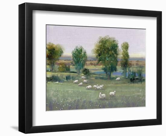 Field of Sheep I-Tim O'toole-Framed Art Print