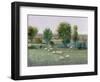 Field of Sheep I-Tim O'toole-Framed Art Print