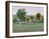 Field of Sheep II-Tim O'toole-Framed Art Print