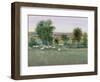 Field of Sheep II-Tim O'toole-Framed Art Print