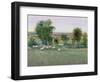 Field of Sheep II-Tim O'toole-Framed Art Print